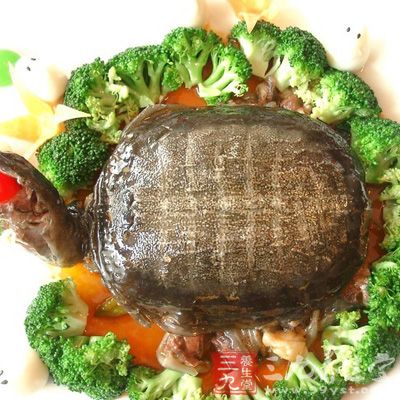吃完雞蛋後吃鱉肉也會導致食物中毒