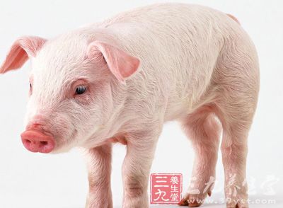 不宜用熱水浸洗豬肉