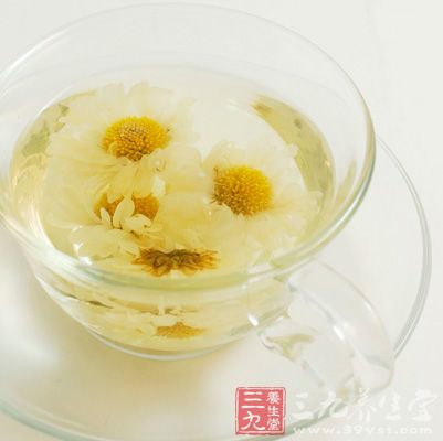 用以泡制菊花茶一般選擇杭白菊或者貢菊