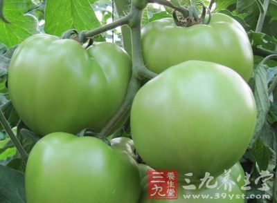 青西紅柿含有毒性物質叫龍葵素