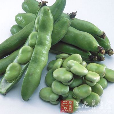 新鮮的蠶豆