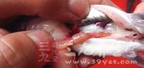 碎肉在絞制的過程中混雜了灰塵