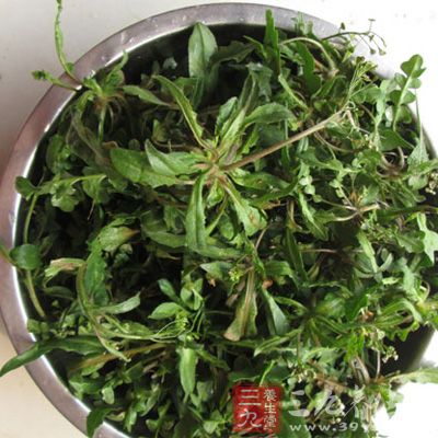新鮮野菜