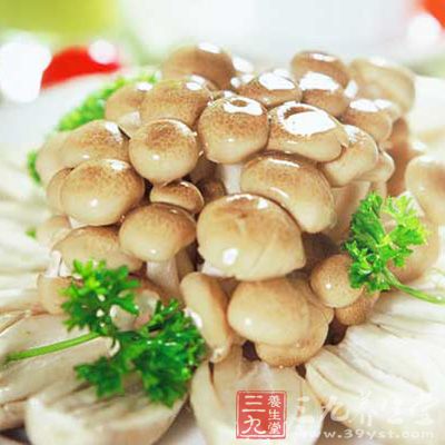 菌類食物