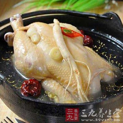 煲雞湯