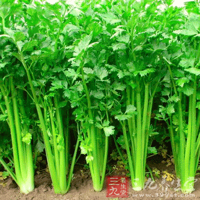 甲魚與芹菜不能一起吃