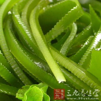 海帶內含有大量的不飽和脂肪酸