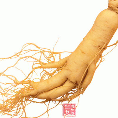 腎功能不全伴尿少者亦慎用人參