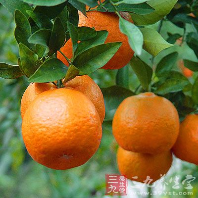 新鮮橘汁含多種肌酸、維生素,對人體新陳代謝有幫助 新鮮橘汁含多種肌酸、維生素,對人體新陳代謝有幫助