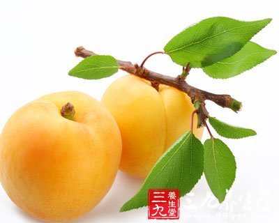 杏適宜多種癌症患者食用