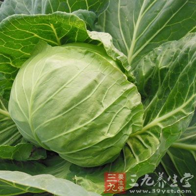 它具有健脾養胃、緩急止痛、解毒消腫、清熱利水的作用