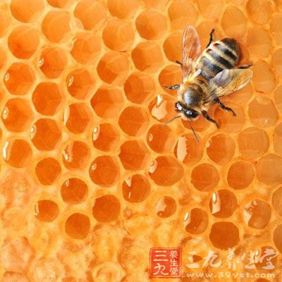 可以促進酒精的分解吸收，因此有利於快速醒酒