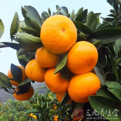 吃橘子過多引起結石