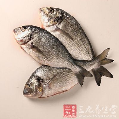 魚腦中含有豐富的多不飽和脂肪酸和磷脂類物質