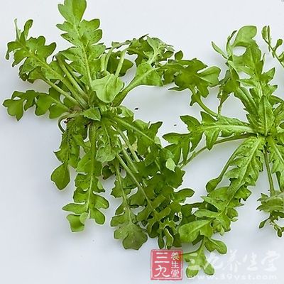 眼睛干澀吃荠菜