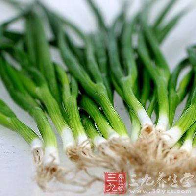 蔥油刺激上呼吸道，使粘痰易於咯出