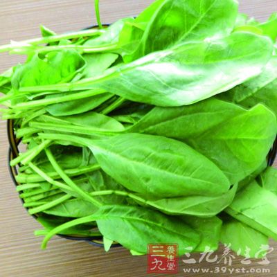 菠菜中豐富的核黃素是有效預防口角潰瘍、唇炎、舌炎、皮炎的重要營養素