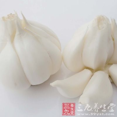 天然廣譜抗菌植物 天然廣譜抗菌植物