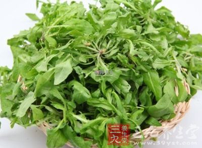 青菜中的荠菜、灰菜等野菜都含有大量亞硝酸鹽