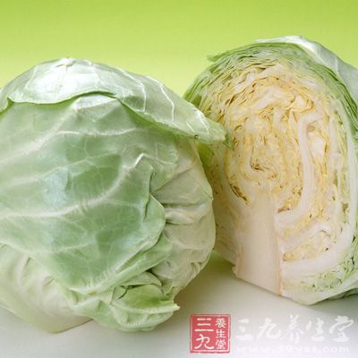 高麗菜是淡色蔬菜當中擁有最多維生素、礦物質等營養素的蔬菜