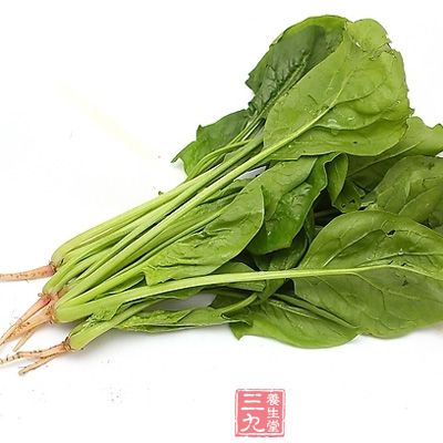 過多的吃菠菜