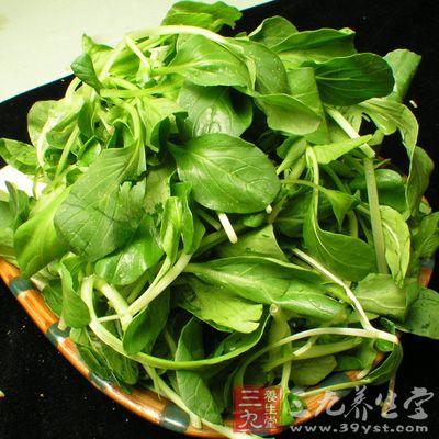 雞毛菜、小白菜應先將根切除