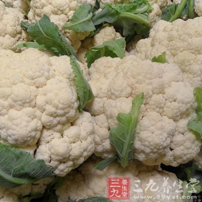 含有豐富的維生素類物質