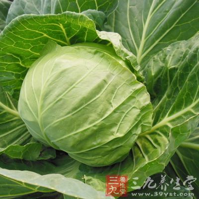 包心菜還含有較多的微量元素钼和錳