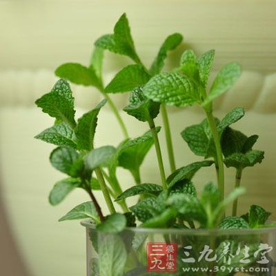 先將雞蛋打入碗中,攪勻,放科開水鍋內,再將薄荷放入,調味即可食用。 先將雞蛋打入碗中,攪勻,放科開水鍋內,再將薄荷放入,調味即可食用。