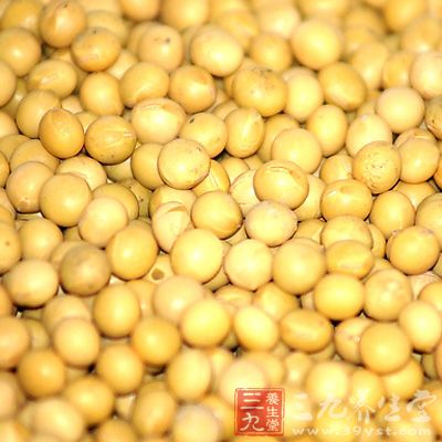 大豆和大豆制品