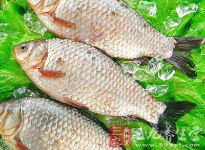 鲫魚體內的脂肪有利於心血管功能