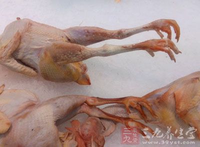 雞肉當中含有大量的不良細菌