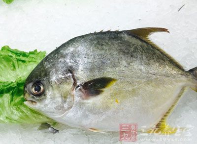過於頻繁地吃魚可能會對發質產生不利影響 過於頻繁地吃魚可能會對發質產生不利影響