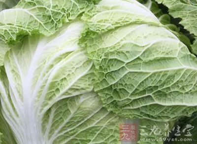 西蘭花和卷心菜 西蘭花和卷心菜