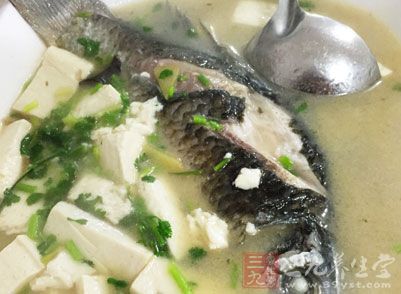 鲫魚體內的脂肪有利於心血管功能