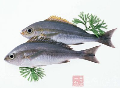 專家認為，過於頻繁地吃魚可能會對發質產生不利影響