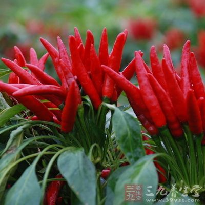 肝病忌辛辣;心病忌鹹 肝病忌辛辣;心病忌鹹