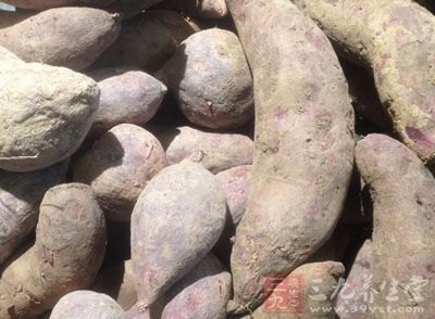 在消化過程中會產生較多氣體 在消化過程中會產生較多氣體