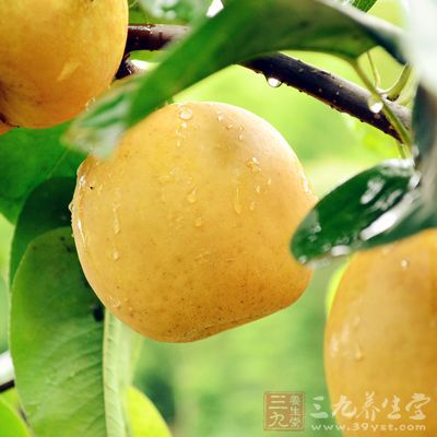 由於梨中富含豐富的維生素B類微量元素 由於梨中富含豐富的維生素B類微量元素