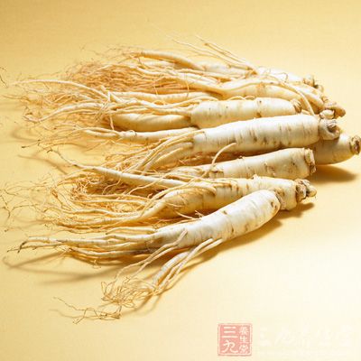 產後7天內利用人參進補，易造成新媽大出血