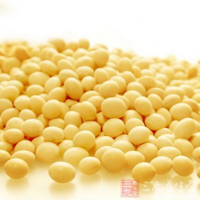豆類及豆制品主要供給植物蛋白質 豆類及豆制品主要供給植物蛋白質