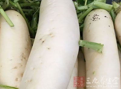 蘿卜(萊菔、蘆菔)