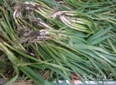 蔥的裡面富含寄生物隱孢子蟲、至賀菌和沙門氏菌。