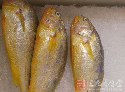 黃花魚  　　性味甘、平，能健脾益氣，