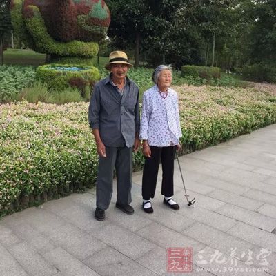 老年人對食物的消化吸收能力不是很好