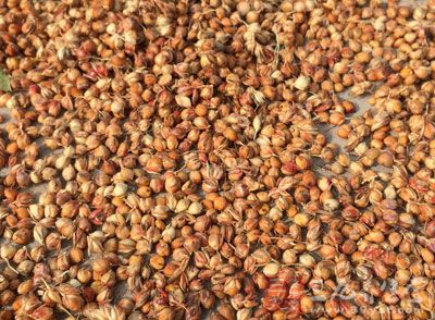 可以說高粱中含有極其豐富的營養 可以說高粱中含有極其豐富的營養