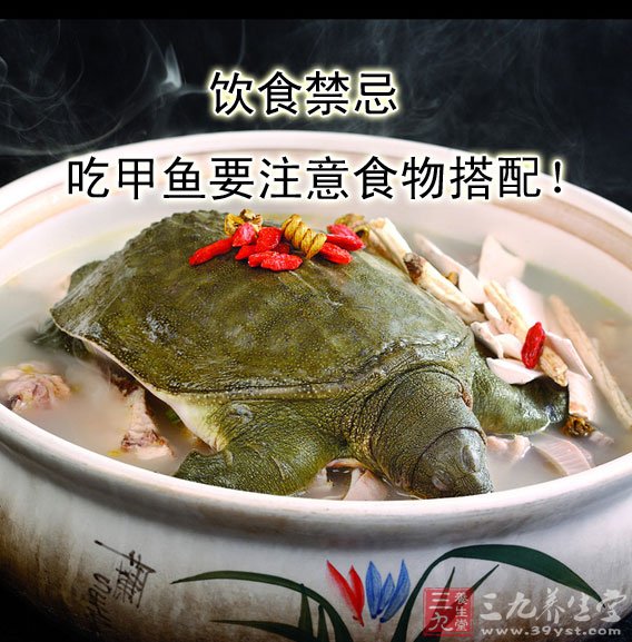 甲魚的飲食禁忌