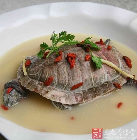 甲魚湯的做法