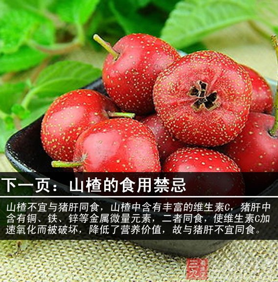 孕婦吃山楂的危害