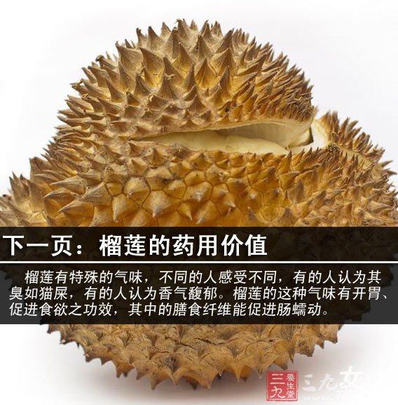 榴蓮含有豐富的蛋白質